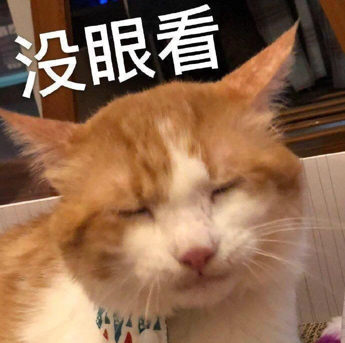 😐Перевод:
Не видел этого
(Méi yǎnkàn)

🤩 Китайский язык с Китиками
🇷🇺 МАХ