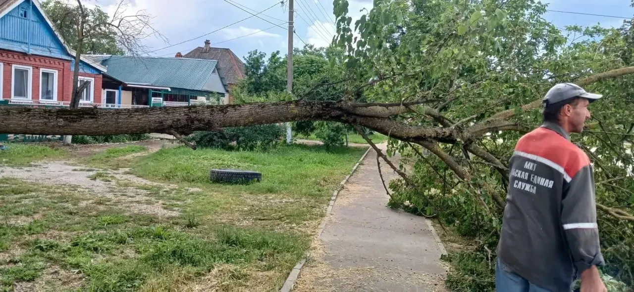 Ликвидация упавшего дерева, ул. Длинная
