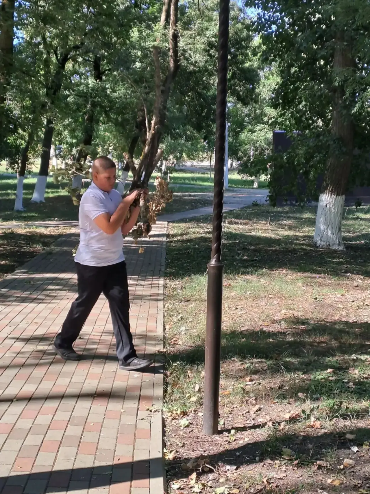 🌳✨ Субботник в парке!