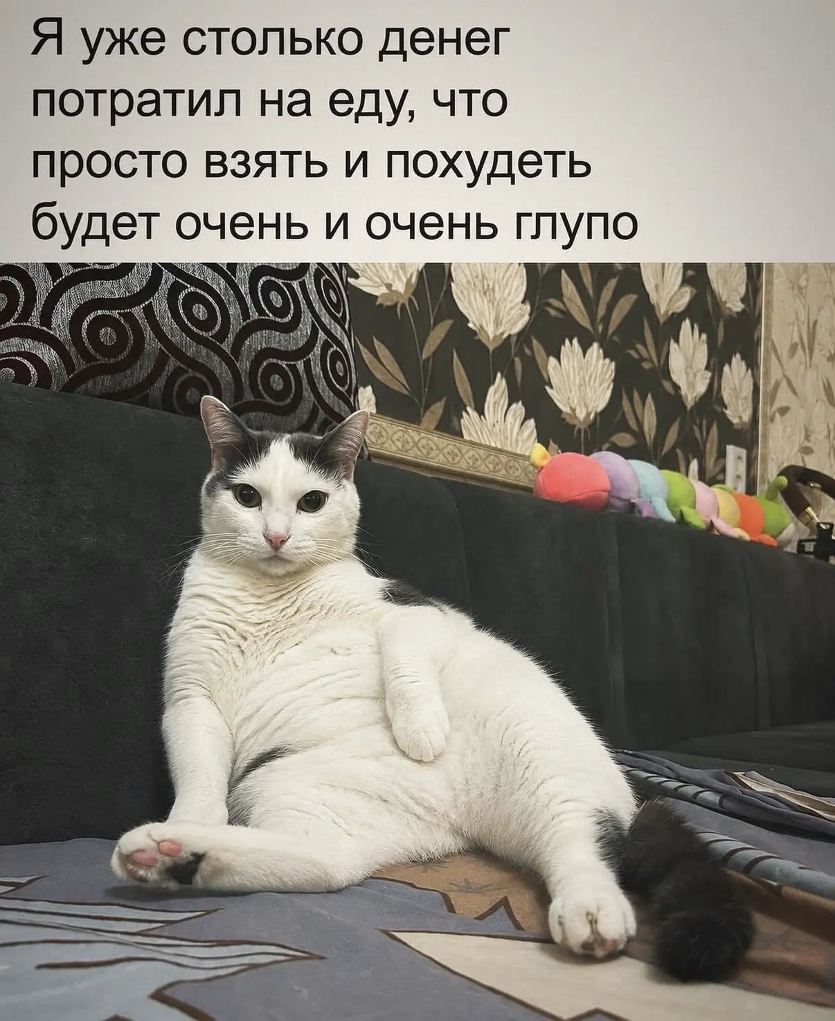 🧐 немного про инвестиции 🤣🫰