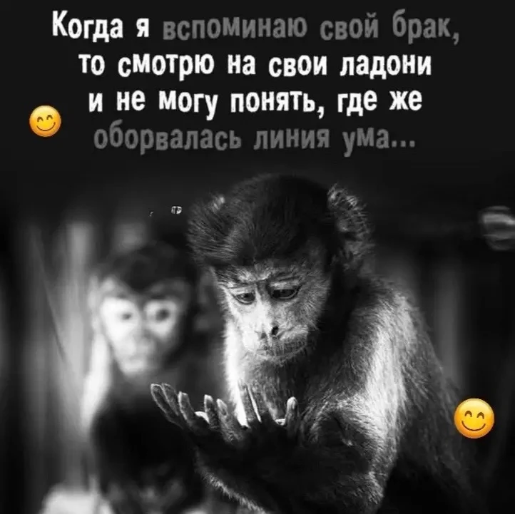 👉Юмористка