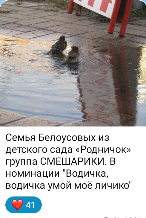 Уважаемые участники конкурса ФотоВодоОхота. Благодарим вас за активное участие. Каждая ваша фотограф