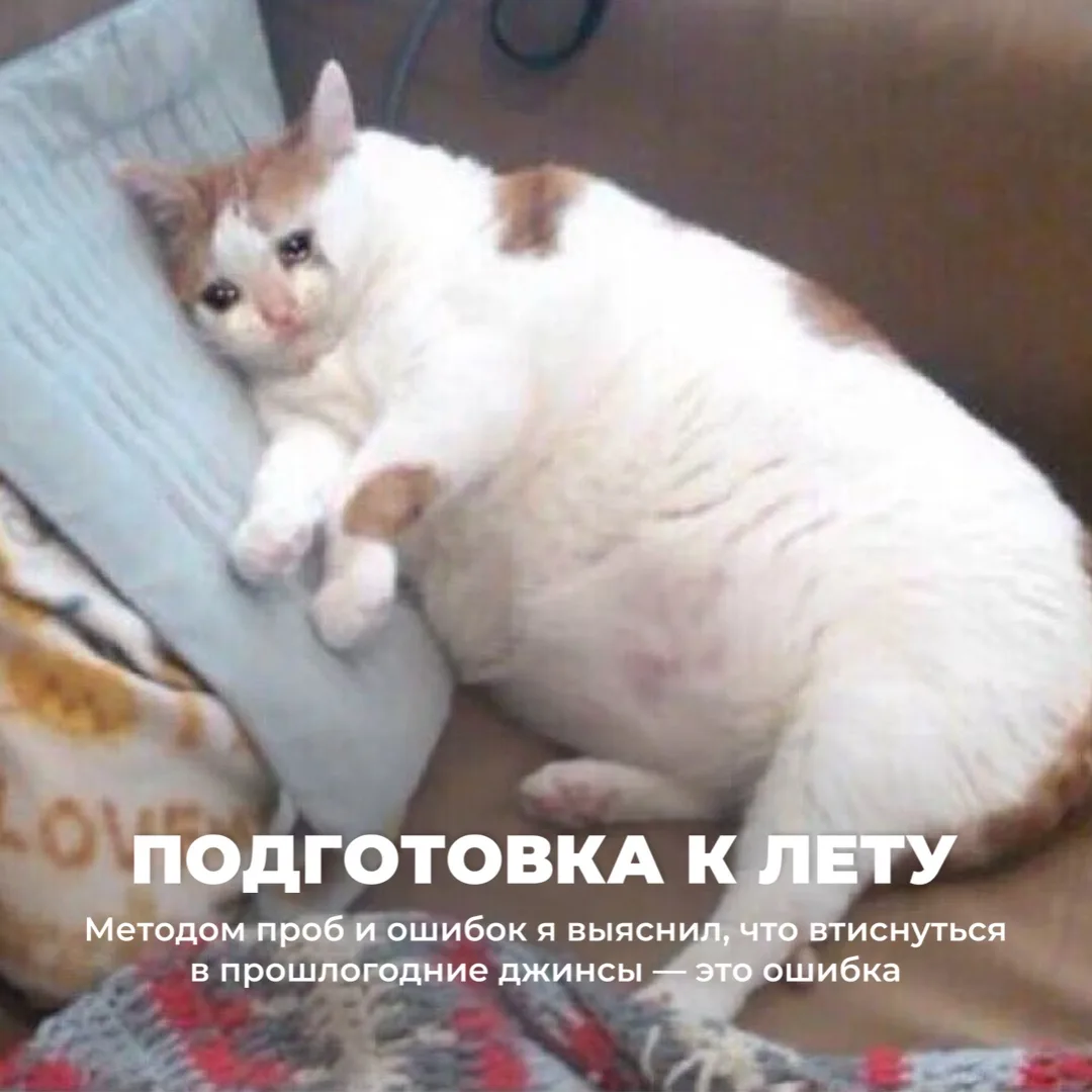 Поговорим честно? 🤫  Я тут на приеме узнала, что вы стесняетесь писать в чат свои вопросы. Давайте с