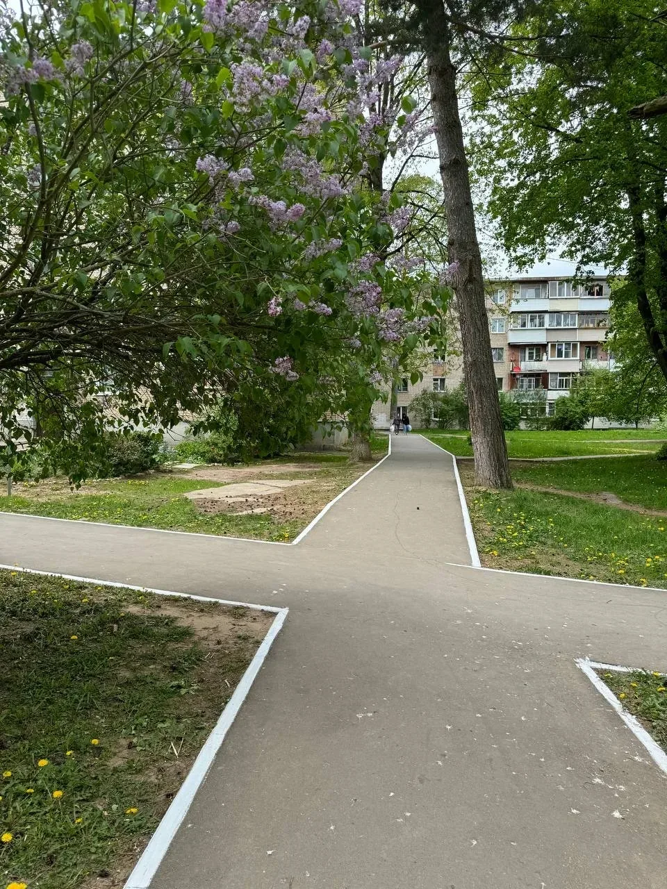 Участие в программе по формированию комфортной городской среды, направленной на решение вопросов, ка