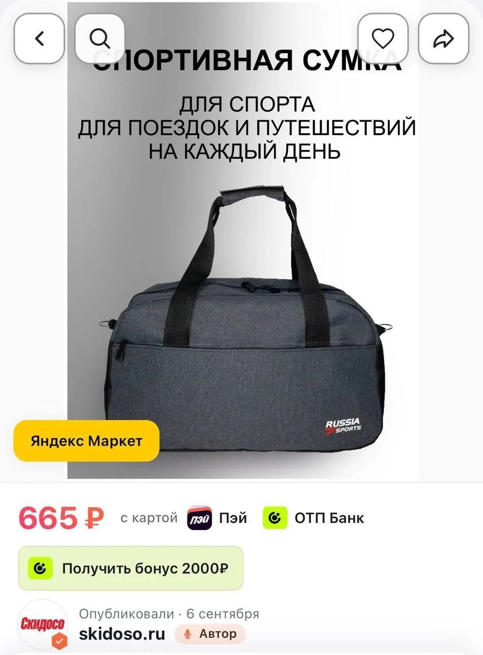 🔥Сумка спортивная RUSSIA SPORTS, 20 л, 45х25х20 см, ручная кладь, серый, мультиколор, ...