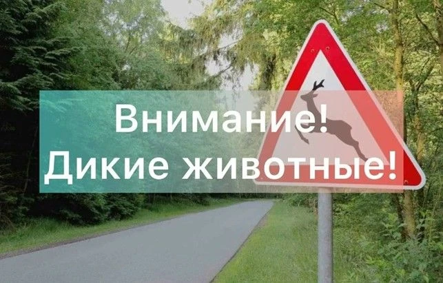 Уважаемые карабашцы и гости города!