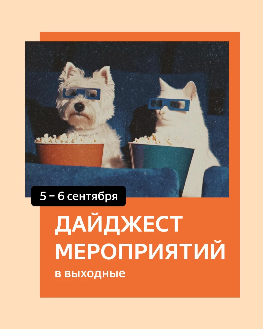 Приглашаем на мероприятия в эти выходные🍁
