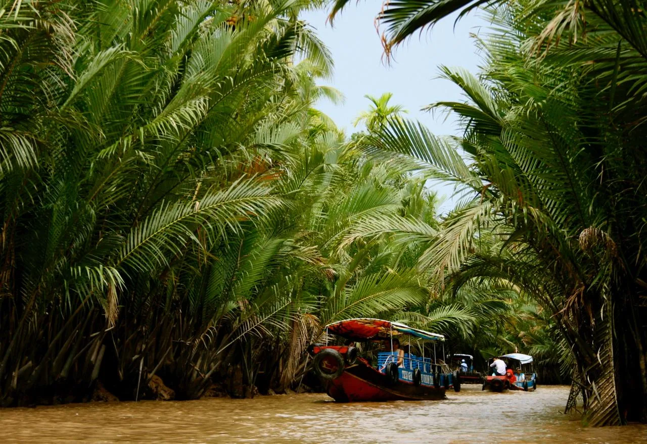 Дельта реки Меконг, Вьетнам 🇻🇳 

🔹 Дельта реки Меконг - регион в юго-западной части Вьетнама, где