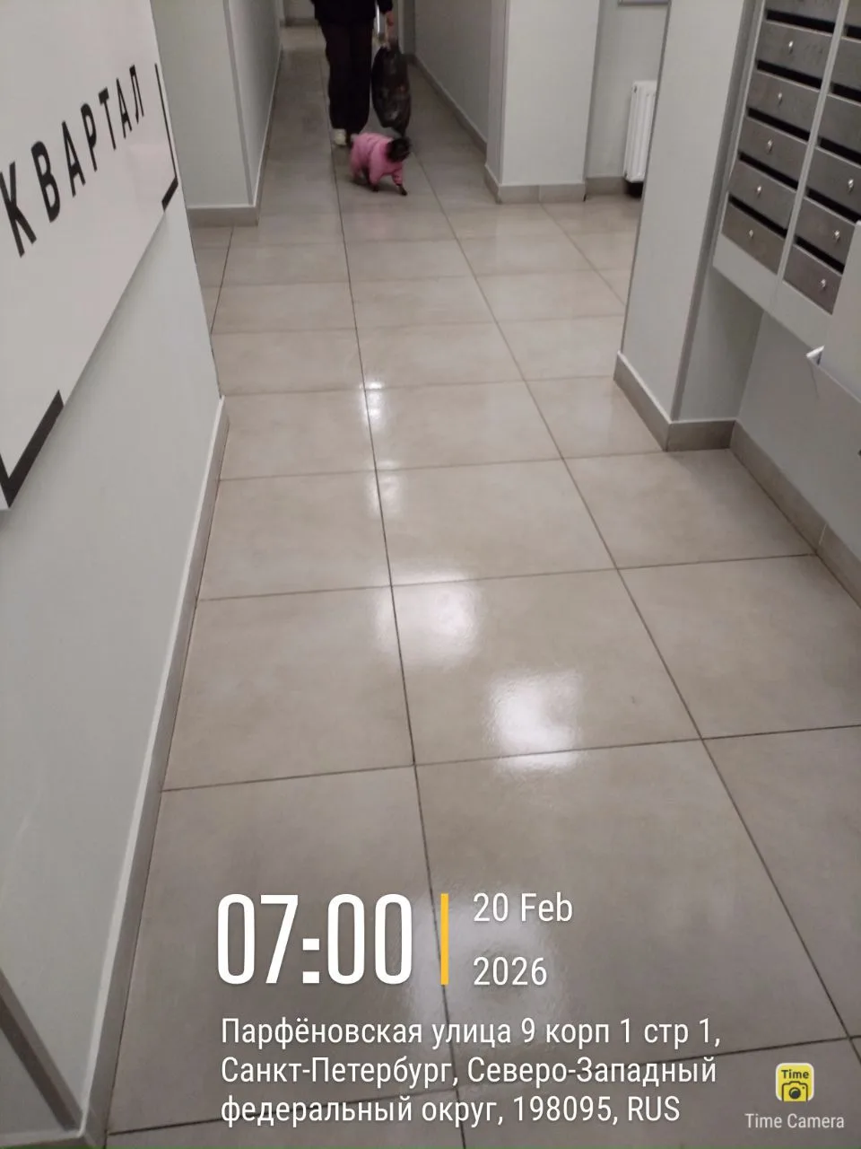 🏠Наши дорогие соседи!