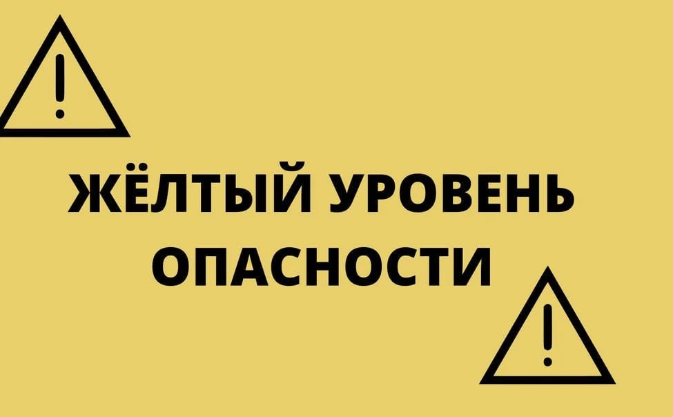 ⛈ Петербург и Ленобласть ждут грозы и ливни

В регионе объявили жёлтый уровень погодной опасности из