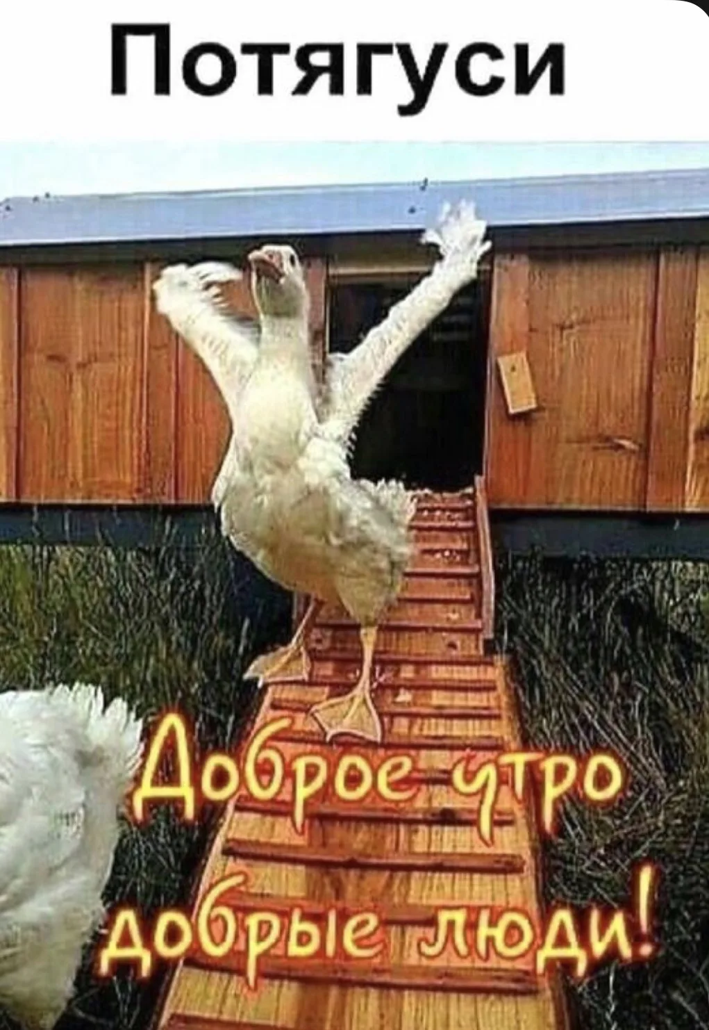 Доброе утро 🌞