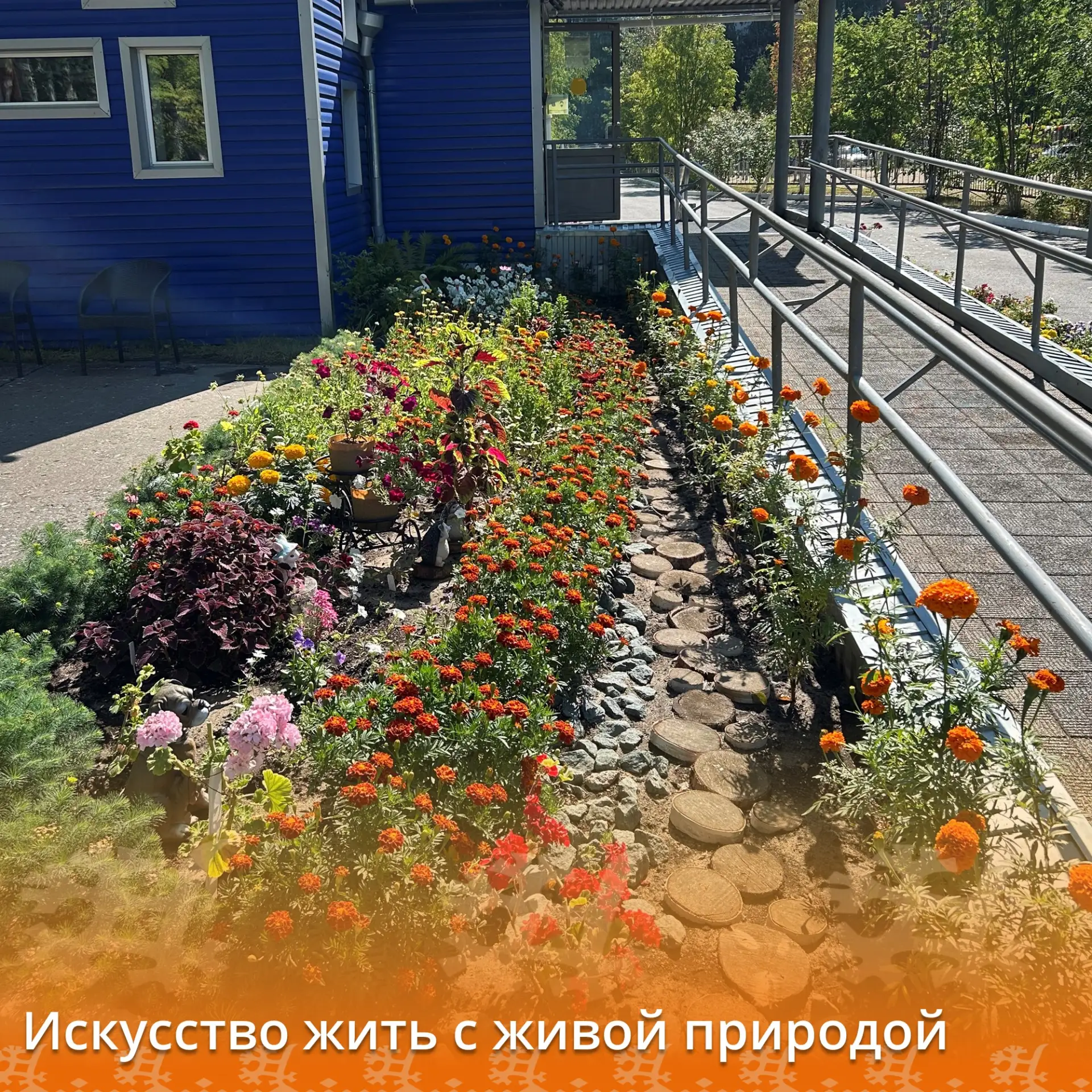 В Нижневартовском пансионате самый разгар корпоративного фестиваля «Искусство жить с живой природой»