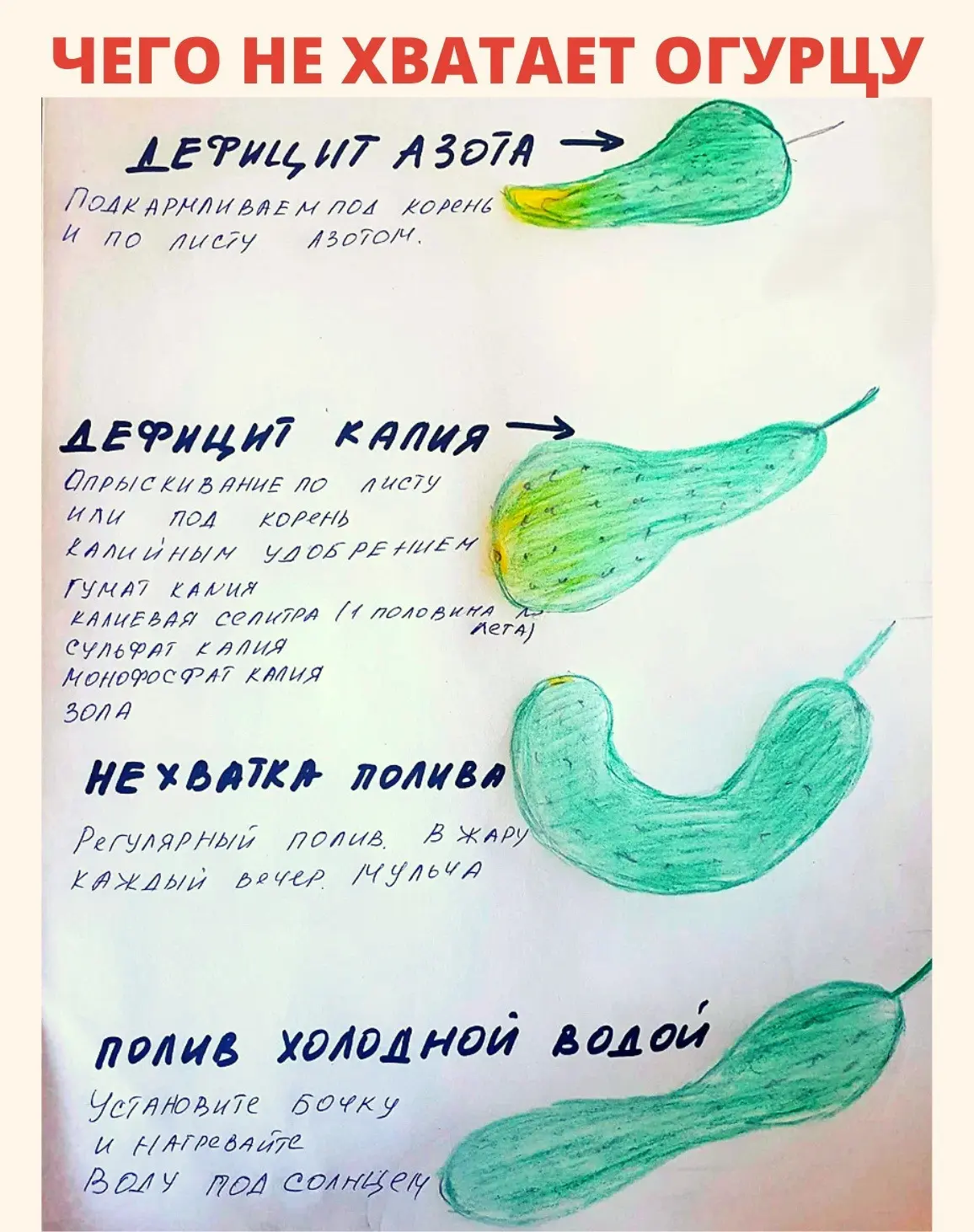 Шпаргалка для начинающих: все, что нужно знать об огурцах 🥒 Сохраните, чтобы не потерять!