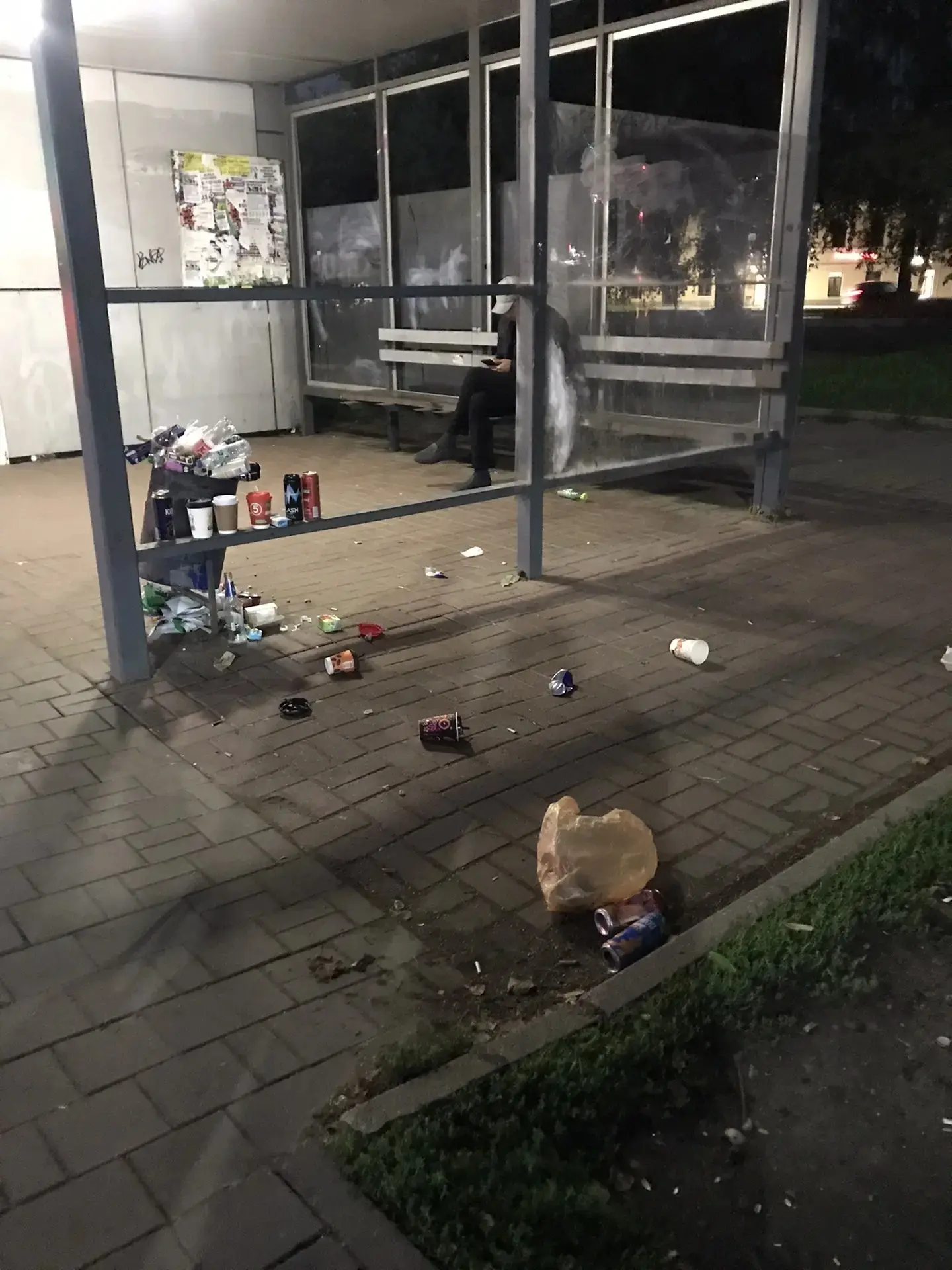 21 час, 26 августа. Остановка на ул. Победы (в сторону Брагино). Мы вышли из автобуса и...