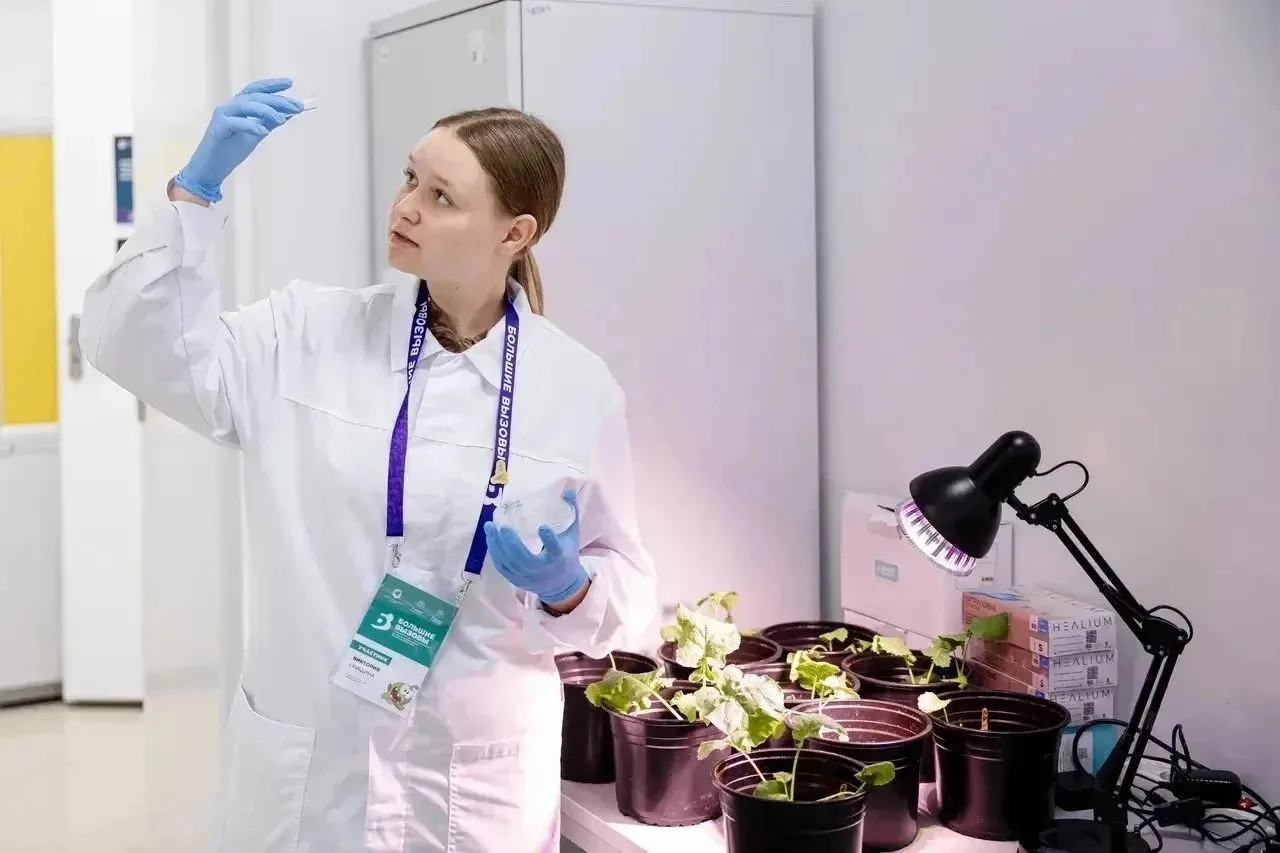 🧑‍🎓Юная липчанка успешно защитила проект на Международном фестивале программы «Большие вызовы» 
 
