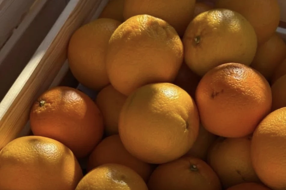 В Курской области резко подорожали апельсины и огурцы (Курскстат) 🍊🥒