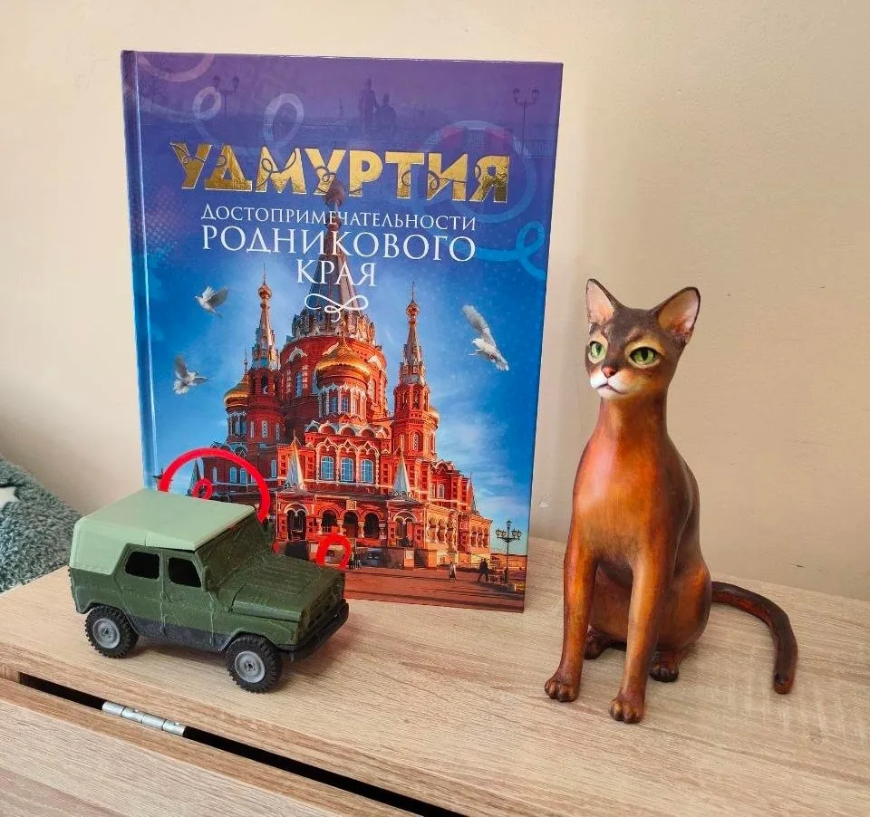 Читатель прислал подарки. Кошичка нипонимаэ.