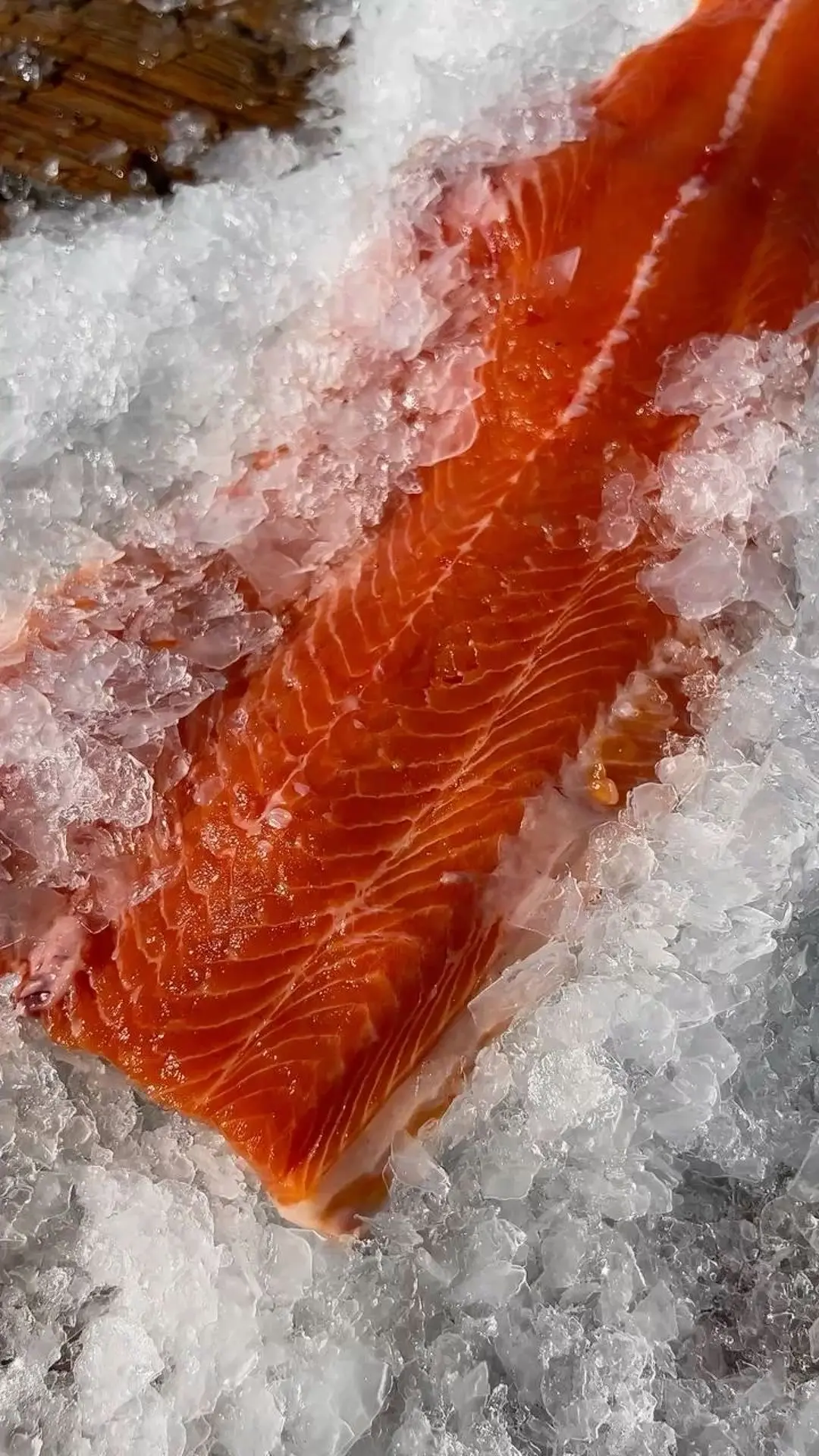 🐟 Премиальное филе в наличии Лосось — 2100 ₽/кг Форель — 1600 ₽/кг  Качество, которое чувствуется с 