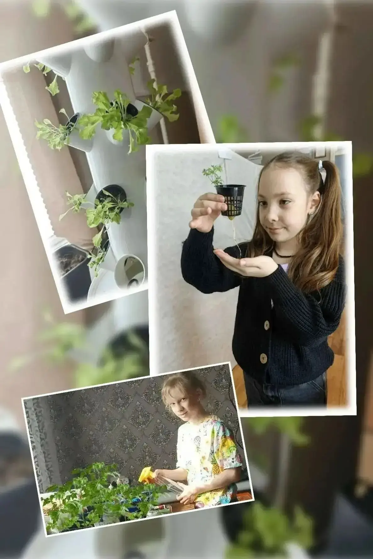 🌱 Юные аграрии: первые шаги в большой науке!