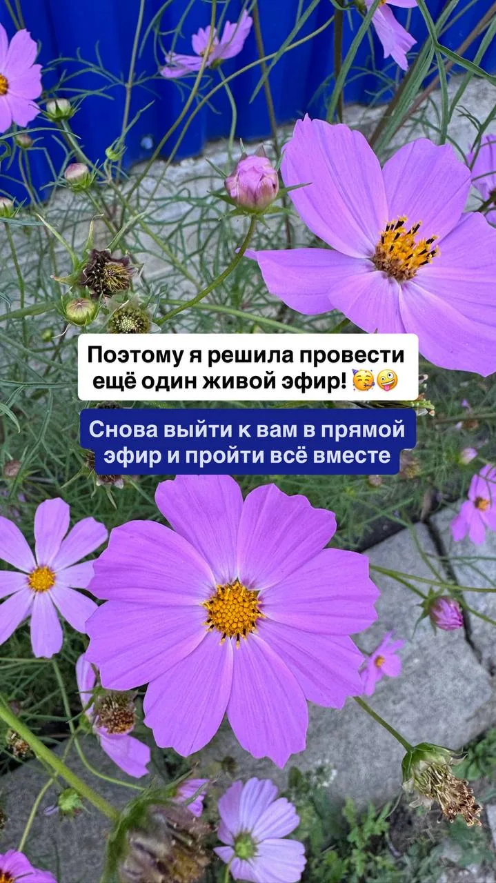 Поэтому я решила провести ещё один живой эфир! 🥳
