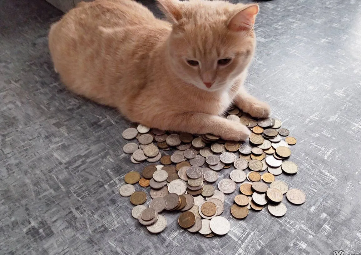 💸 Лунное затмение 28 августа заберёт ваши деньги, — нумерологи