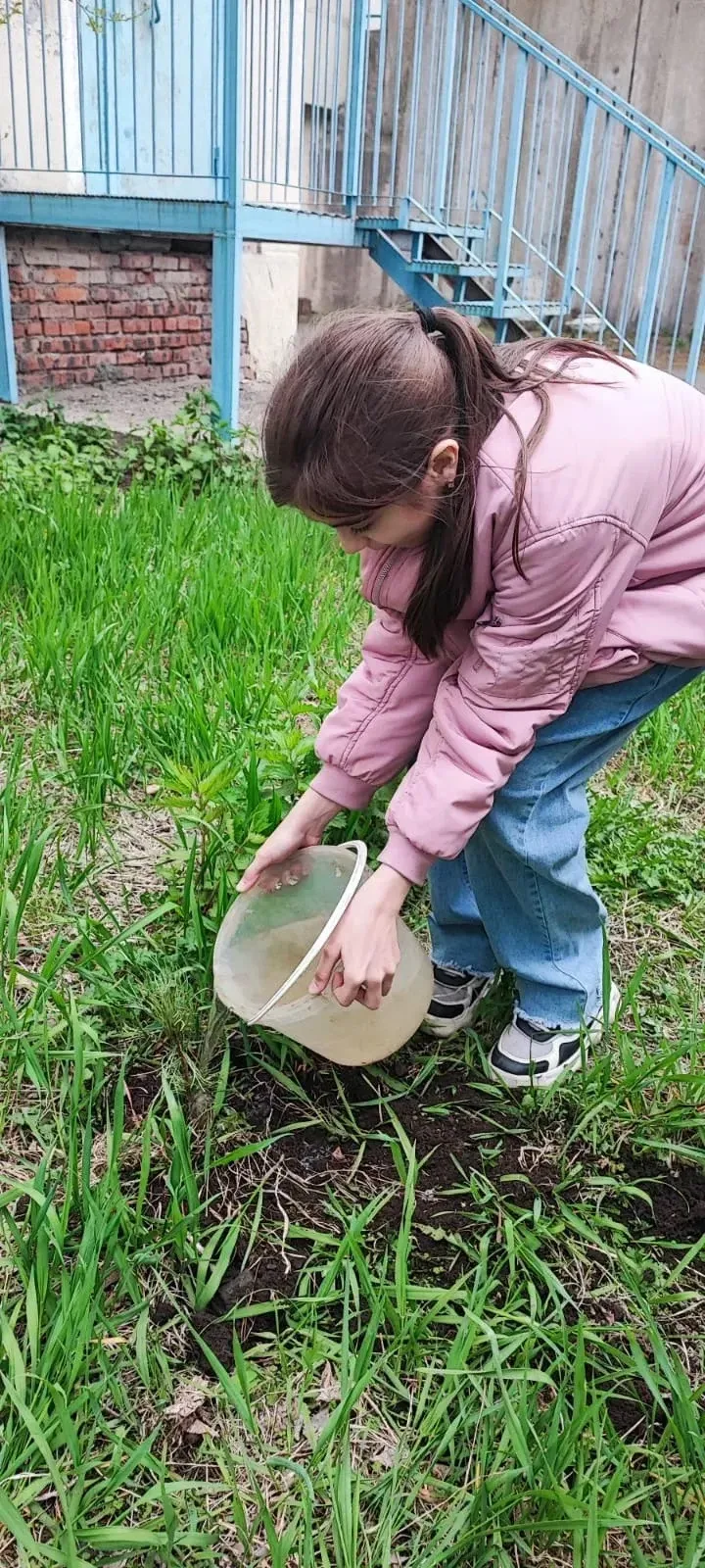 🌱 Маленькие руки - большое дело! 🌱