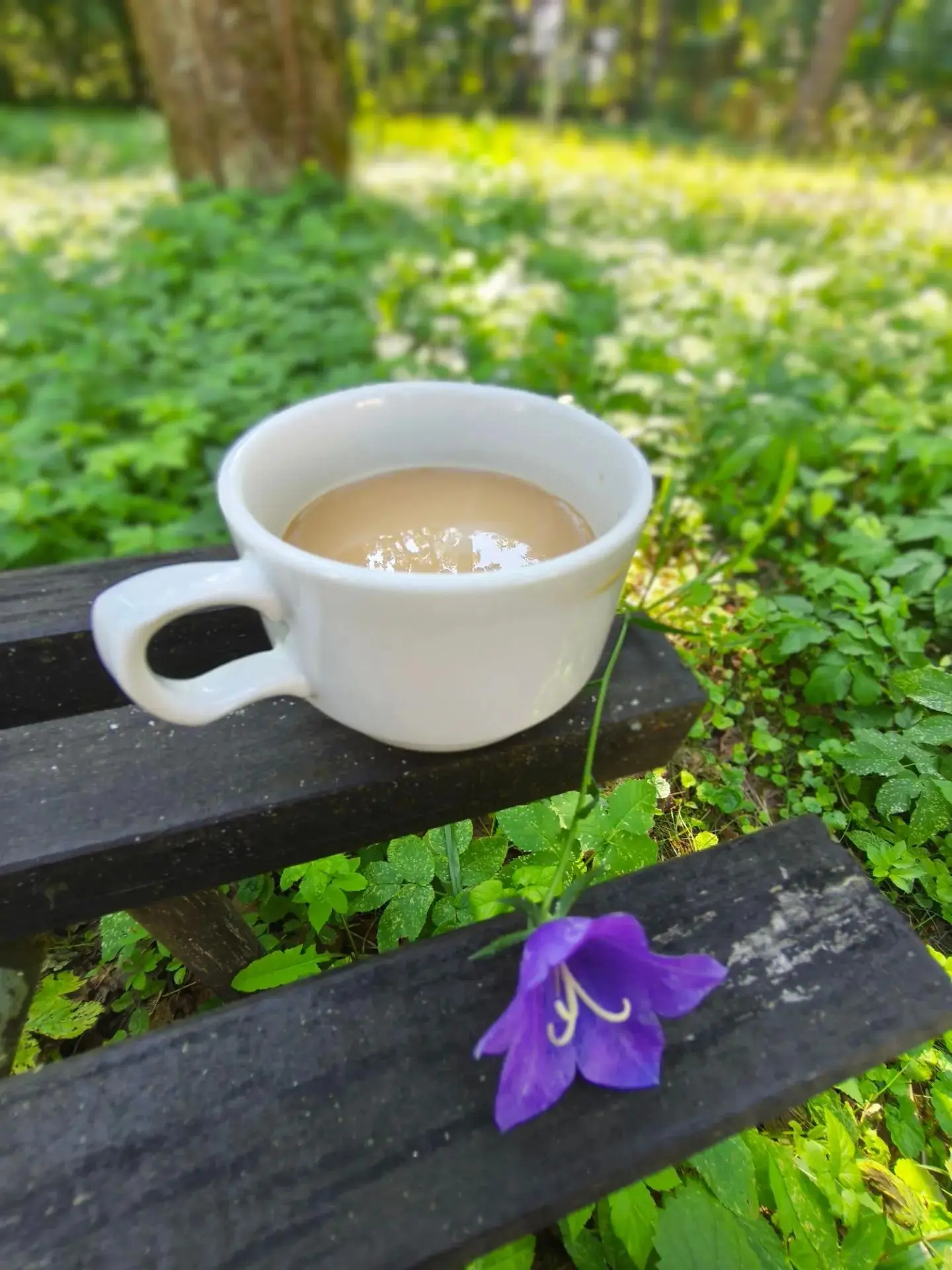И вот такие чудесные моменты отдыха, которые остаются в душе навсегда 💚