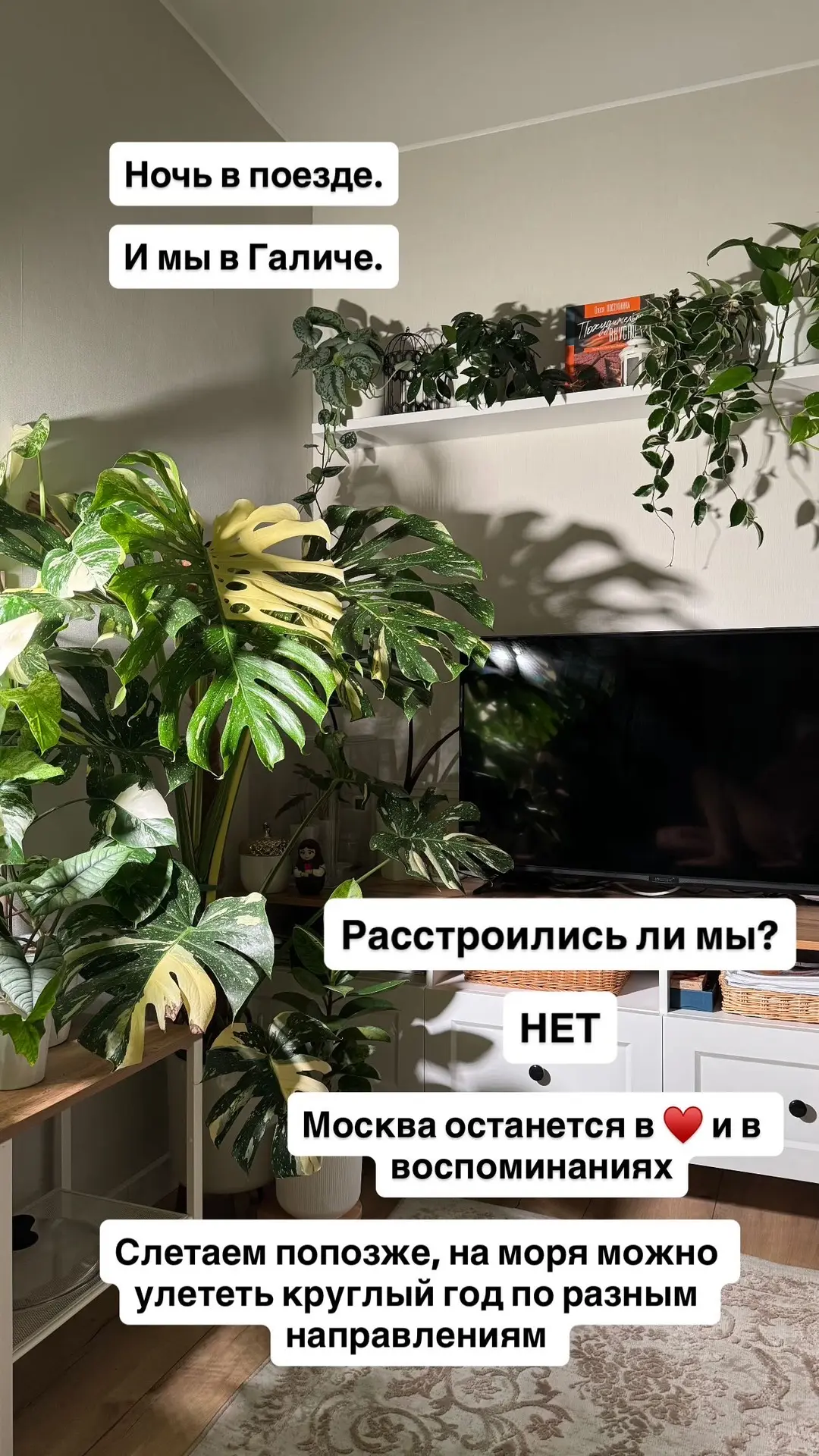 А вы бы как поступили?