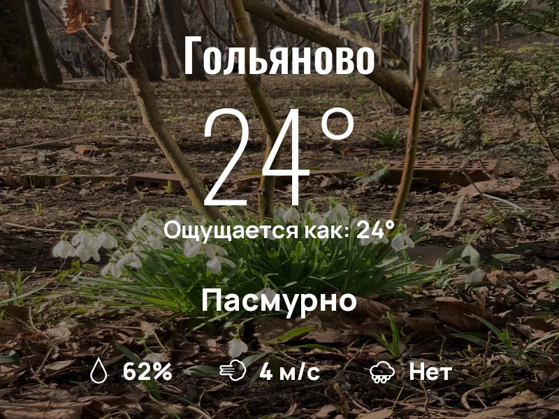 Что с погодой в Гольяново?