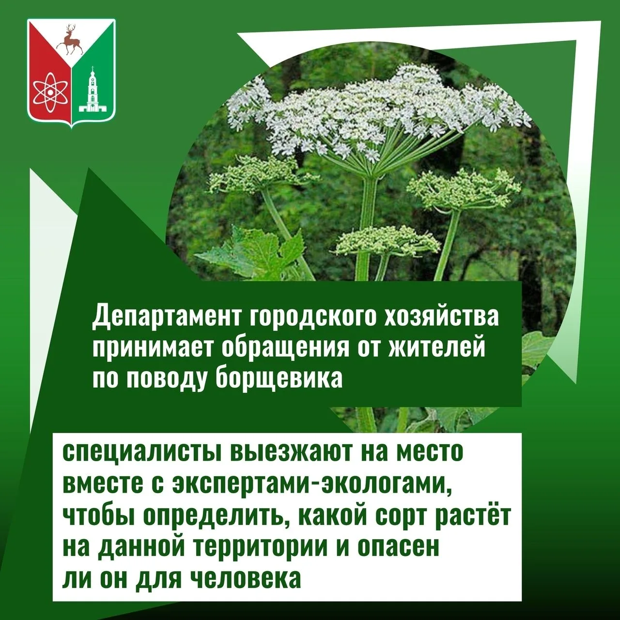 Департамент городского хозяйства информирует население о порядке обращения по вопросам ...