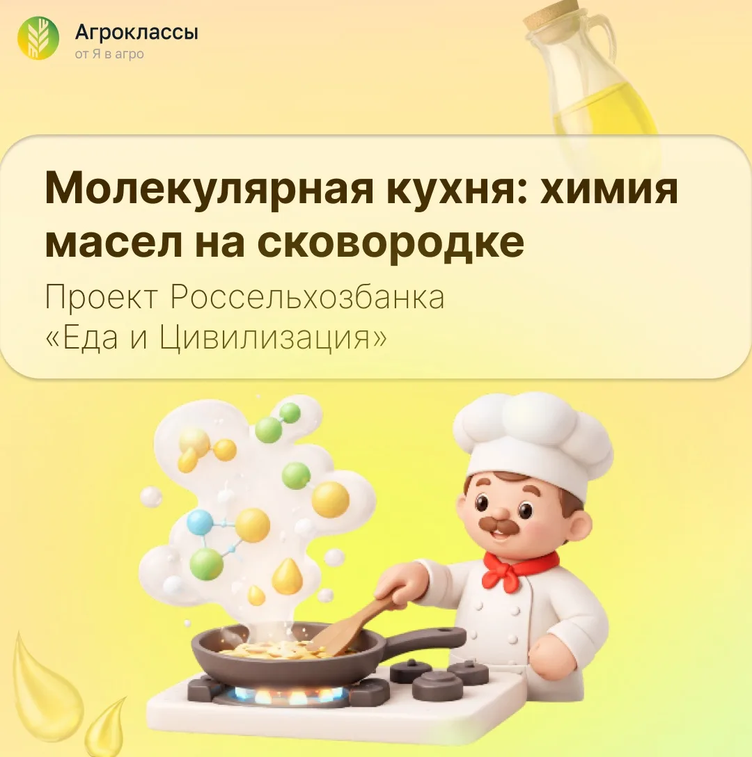 Ваша кухня – химическая лаборатория…  …и масло в ней – главный реактив.  Рассказываем об этом подроб