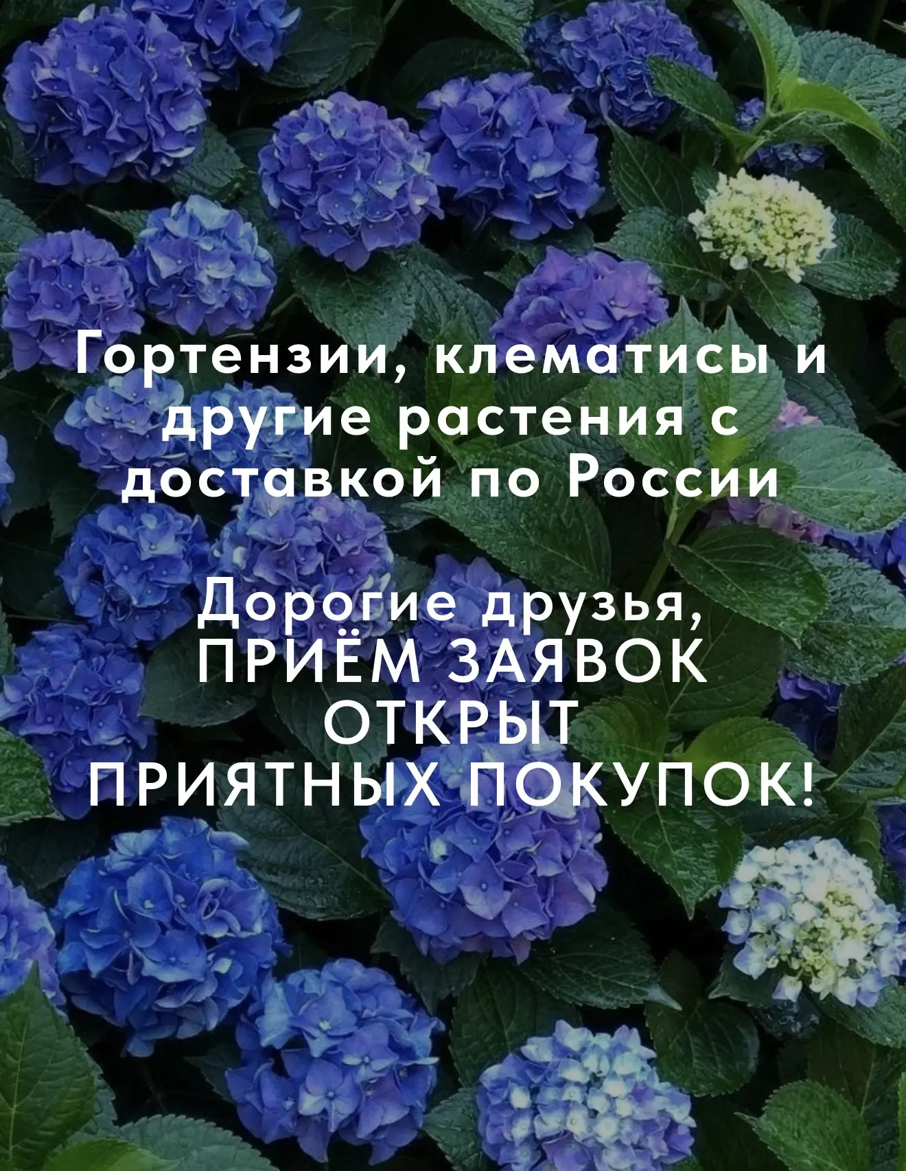 Доброе утро, друзья!🌞