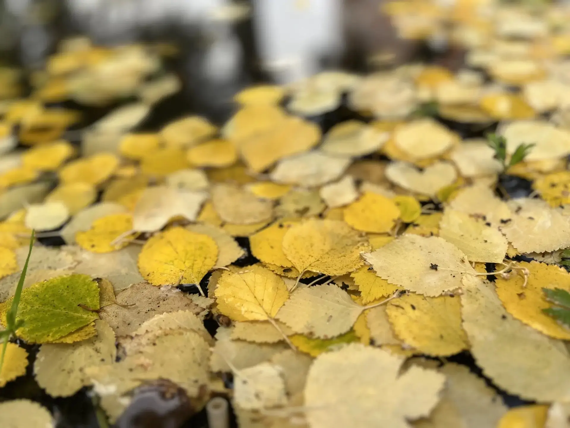 Доброе утро, регион! 🍂️