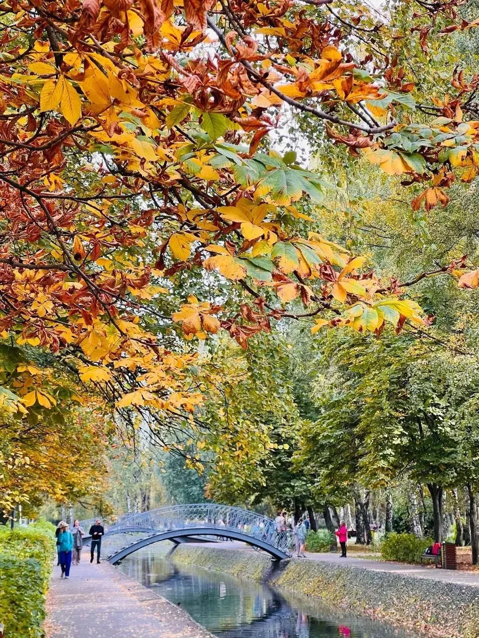 В парке Урицкого всё залито сочными осенними красками.