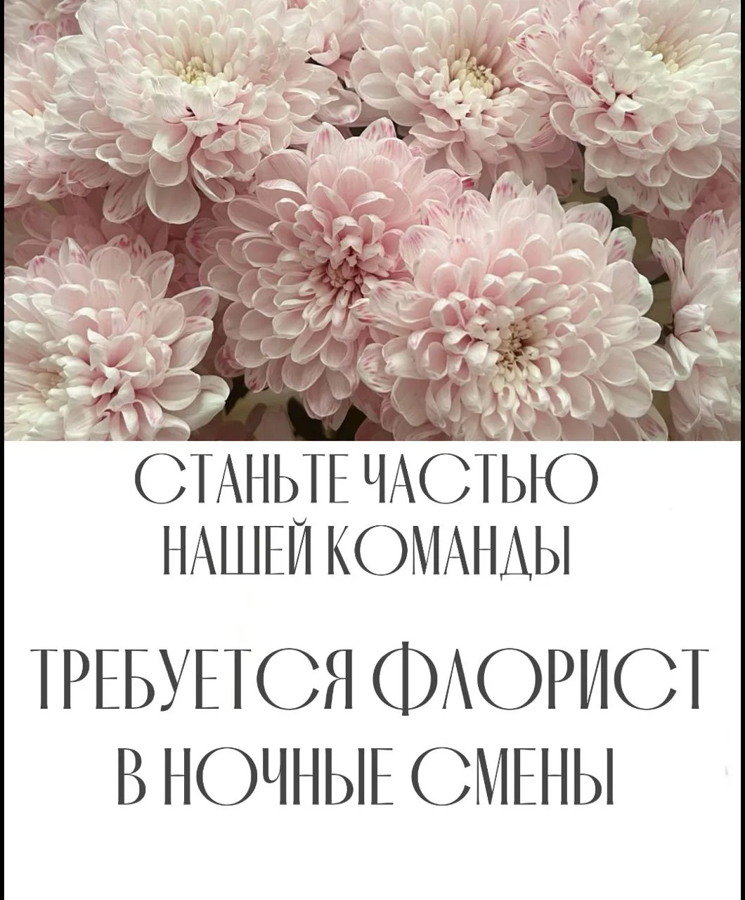 🌿 Требуется флорист (ночные смены)