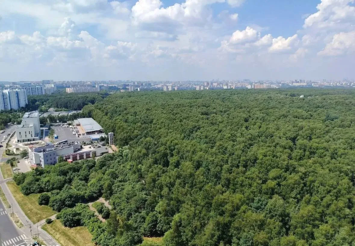 📸 Вид с Лебедянской, 38 на лесопарковую зону

Бирюлево Москва | Восточное Западное - подпишись