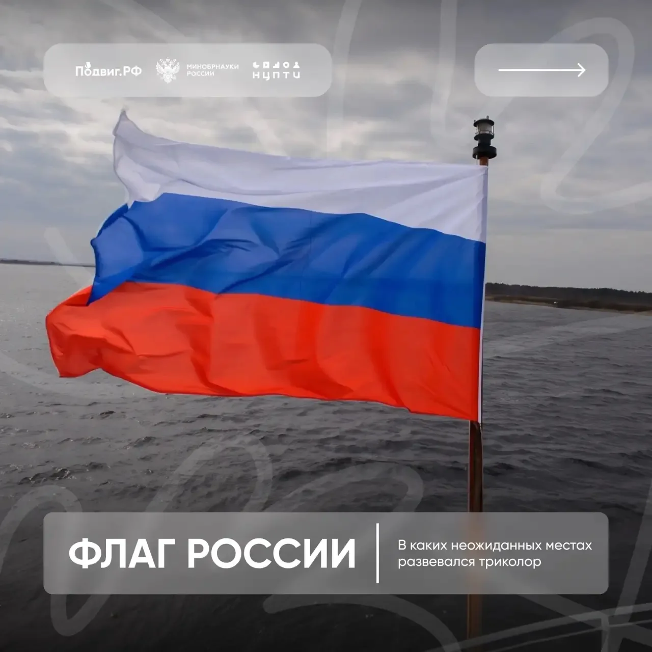 Сегодня наша страна отмечает День Государственного флага Российской Федерации 🇷🇺