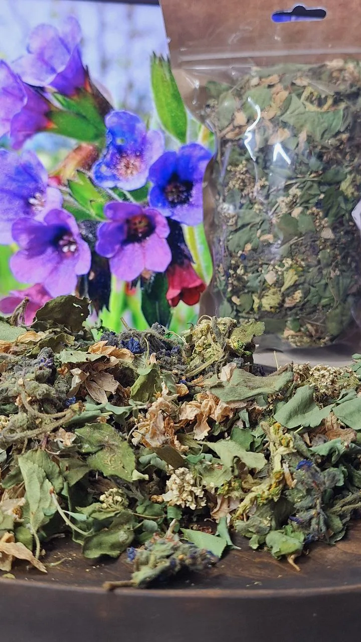 🌻🪸🌷🌿🌼🍁🌼🍁🍂🌸🌼
