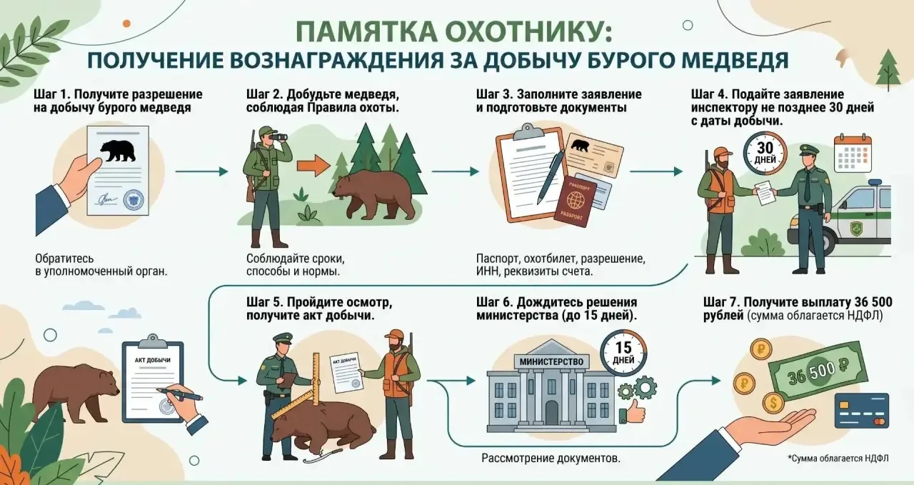 Первые 20 охотников, получили выплаты из краевого бюджета за добычу бурого медведя.
