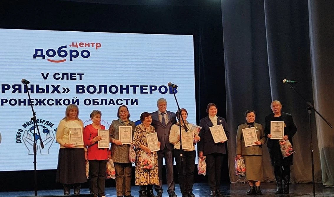 Пятый слет "серебряных" добровольцев Воронежской области.