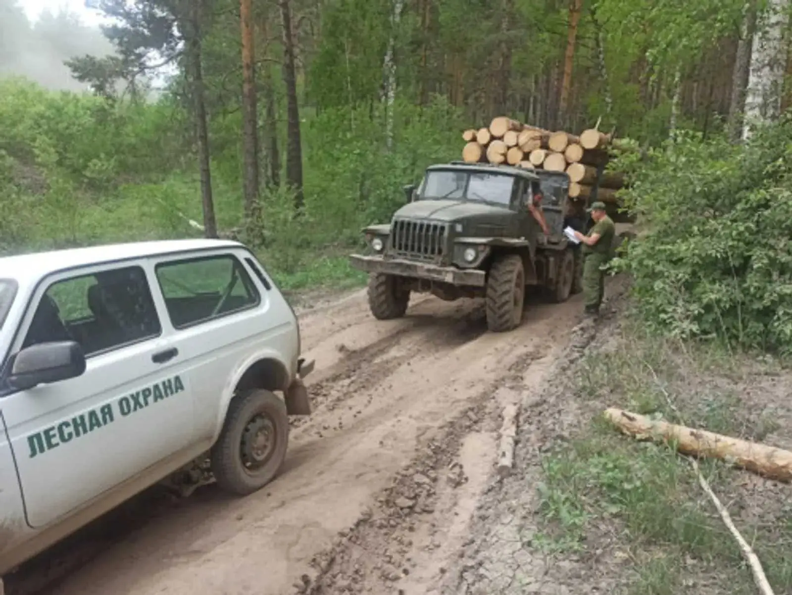 🌲🌳⛔В Башкортостане стартует операция «ЛЕС»
