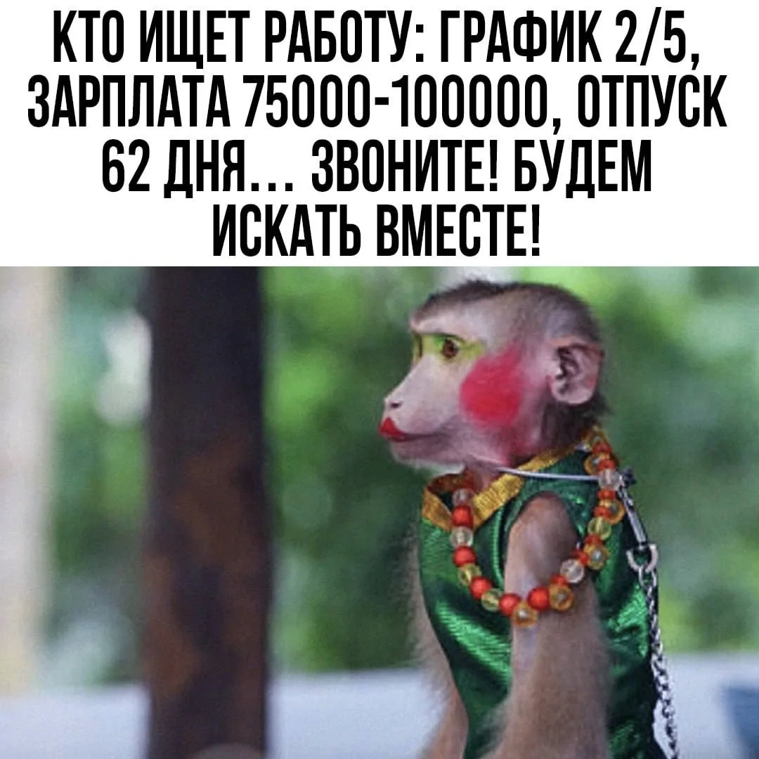 #Юмор

Открыточка