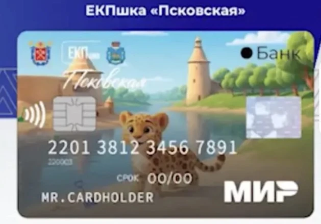 Что даёт единая карта псковича?