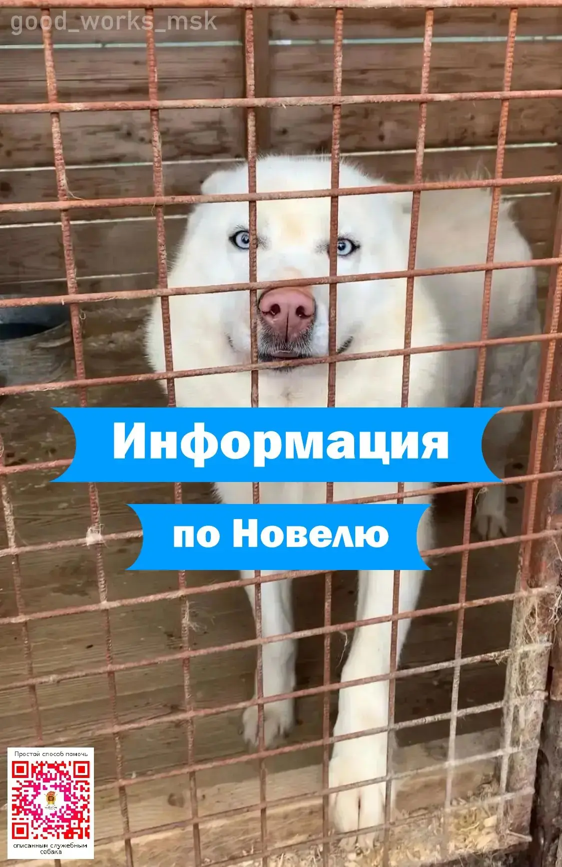 По Новелю и гистологии!
Оказывается она ещё просто не пришла!
Пришел патоморфологический анализ.
А м