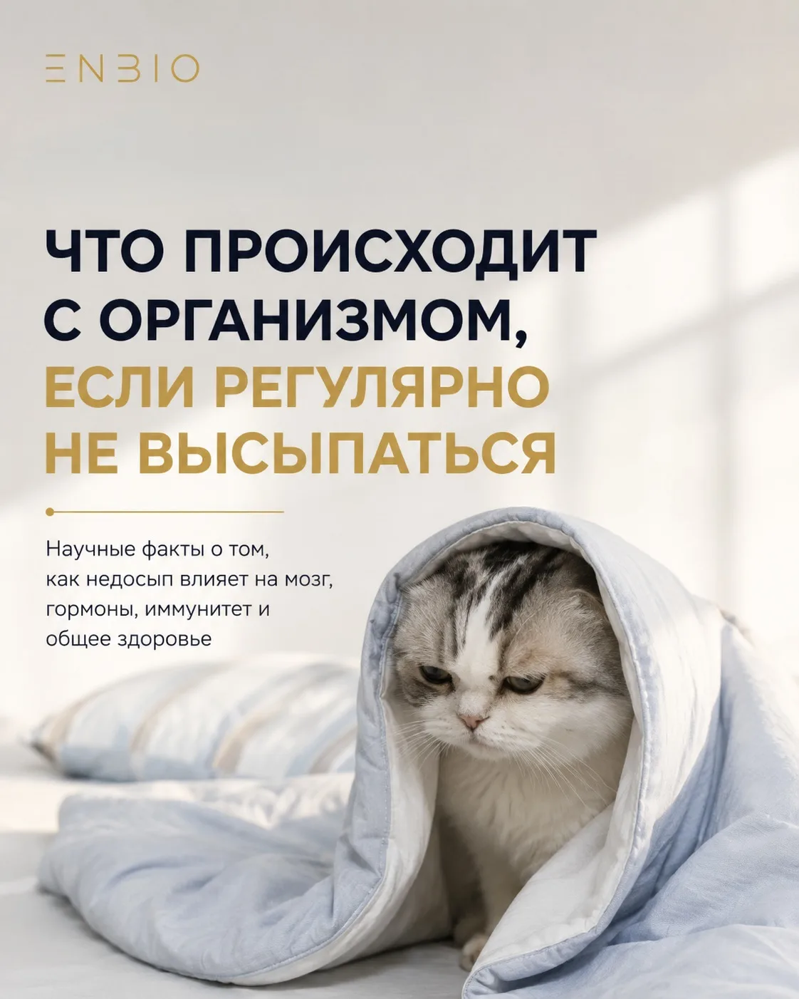 Мы часто воспринимаем недосып как обычную усталость.

Кажется, что достаточно переждать сложную неде