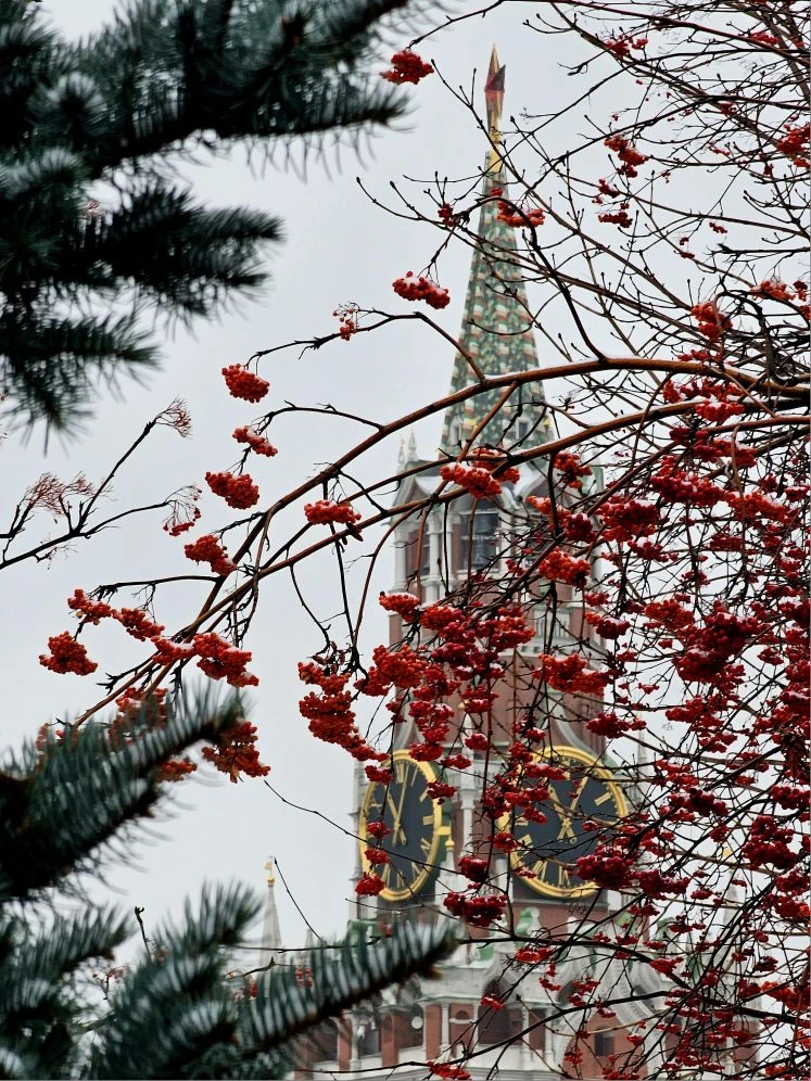 🇷🇺 С Днём России!

🇷🇺 Россия — это не просто страна. Россия — это не флаг или стены Кремля, Росс