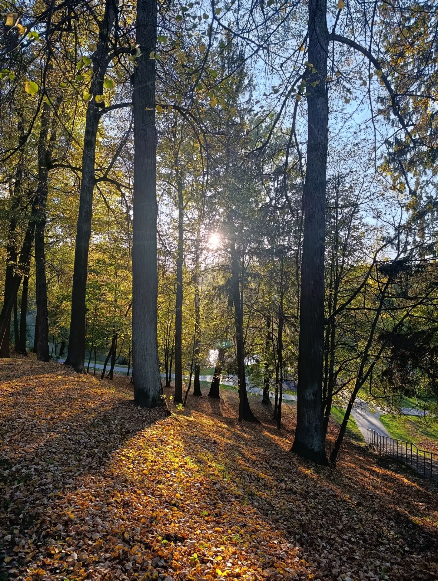 Немного осенних красок 🍂