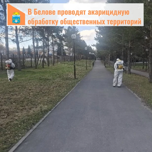В Белове проводится акарицидная обработка общественных территорий  Специалисты уже провели необходим