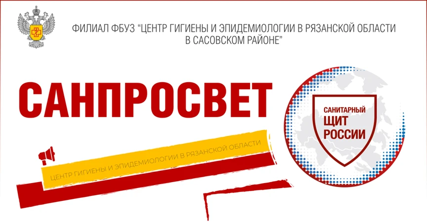 Сбор грибов