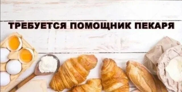 🟢ОТКРЫТА ВАКАНСИЯ
✏️✏️✏️28
В пекарню  на ул.Советской требуются  
🟠 Помощники пекаря 
(можно без о